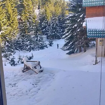 Διαμέρισμα Hasen Vlasic