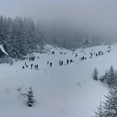 Διαμέρισμα Hasen *