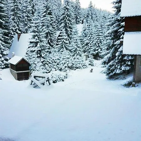 Hasen Διαμέρισμα *